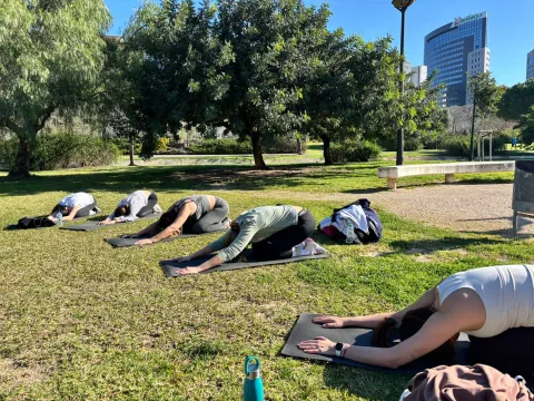 Grupo haciendo estiramiento al suelo en el parque con árboles y edificios al fondo