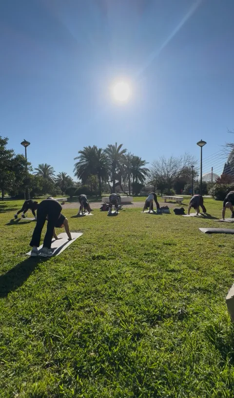 Clase grupal haciendo flexión hacia delante en el parque con palmeras y sol