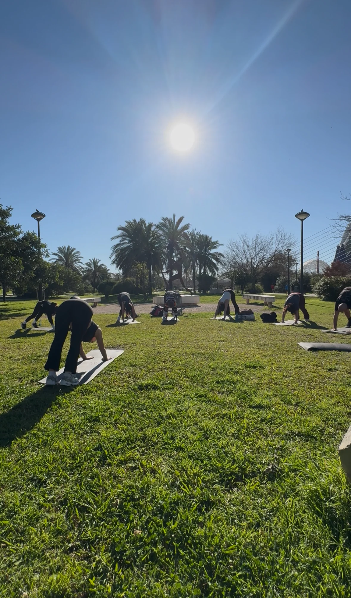 Clase grupal haciendo flexión hacia delante en el parque con palmeras y sol